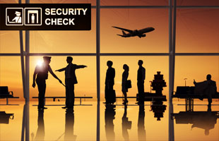 Airport/Port Security
